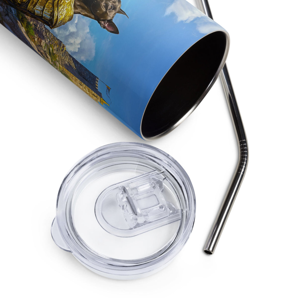 Sir Galathor the Great Dane Knight – Stainless Steel Tumbler - BBairt