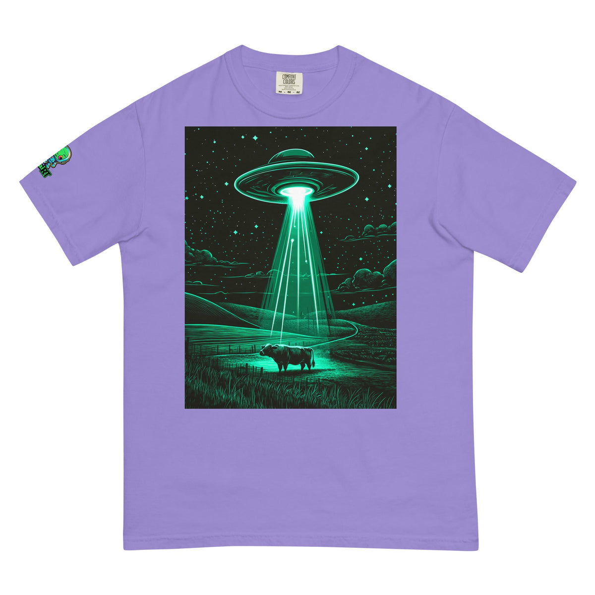 The Abduction Chronicles - Unisex garment - dyed heavyweight t-shirt - BBairt