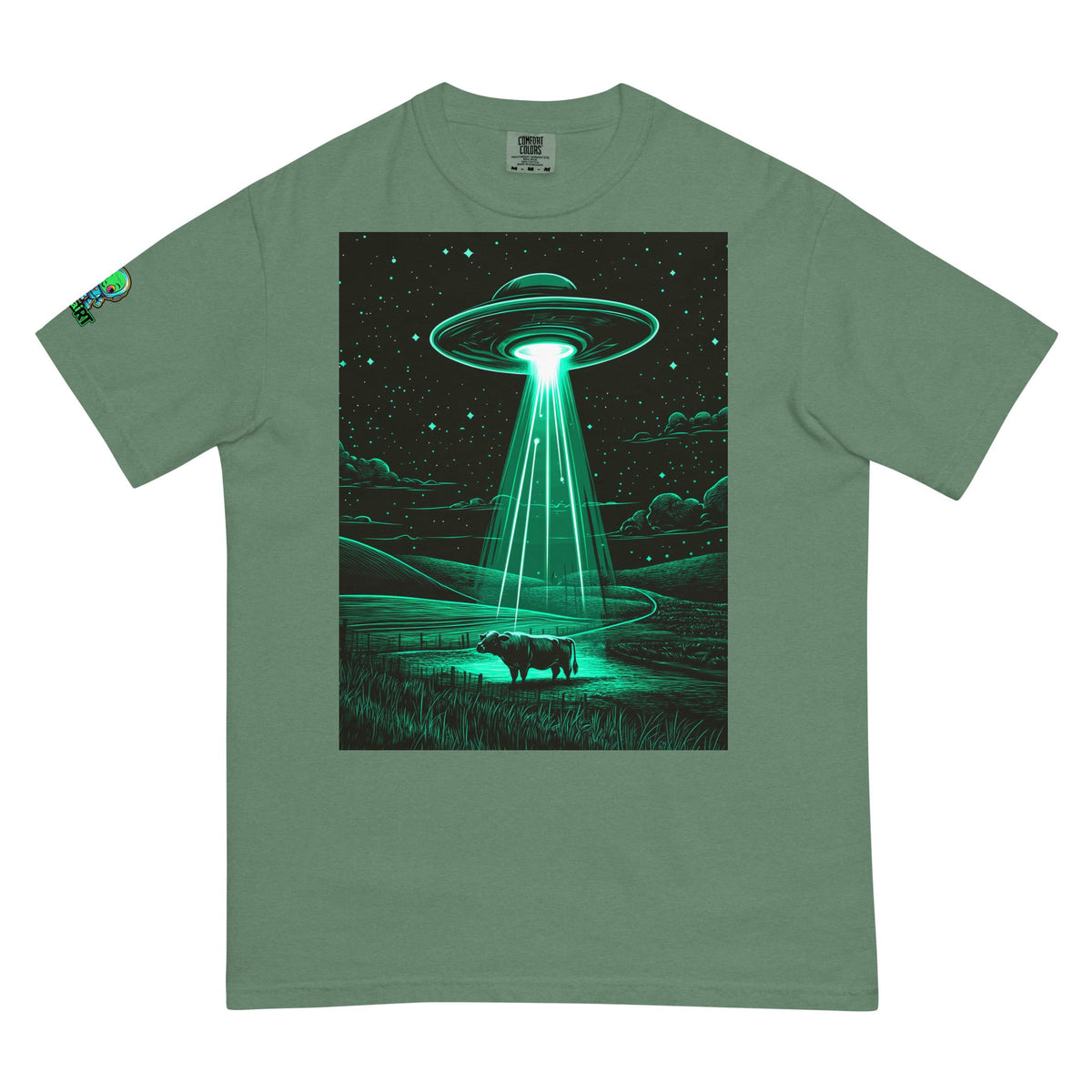 The Abduction Chronicles - Unisex garment - dyed heavyweight t-shirt - BBairt