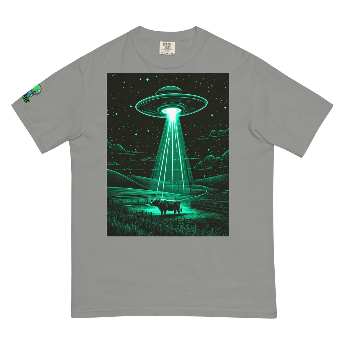The Abduction Chronicles - Unisex garment - dyed heavyweight t-shirt - BBairt