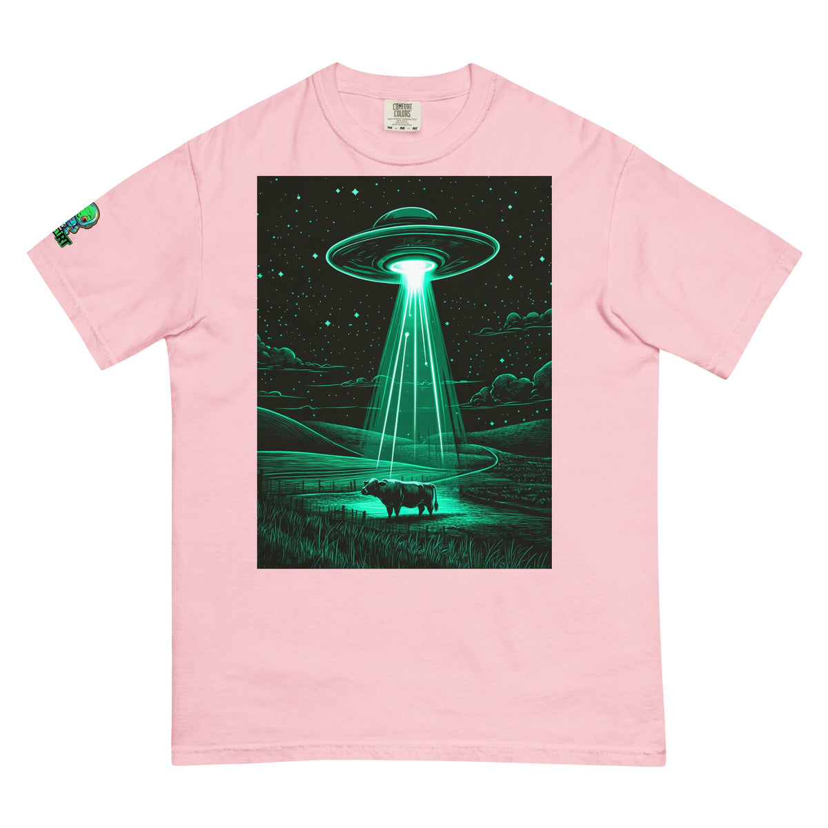 The Abduction Chronicles - Unisex garment - dyed heavyweight t-shirt - BBairt