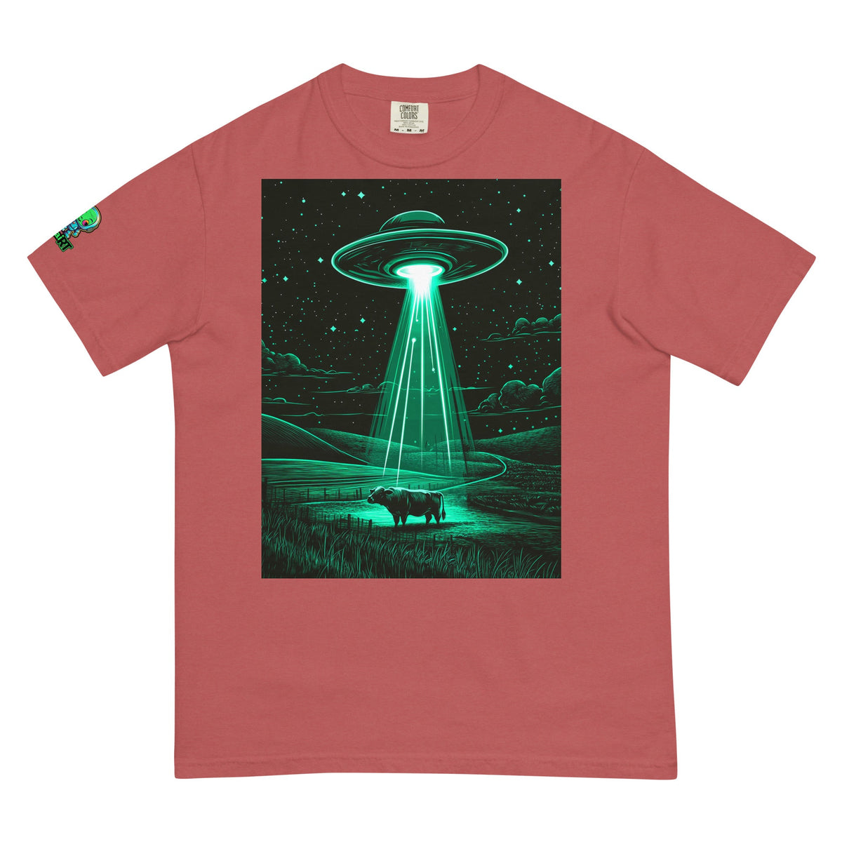 The Abduction Chronicles - Unisex garment - dyed heavyweight t-shirt - BBairt