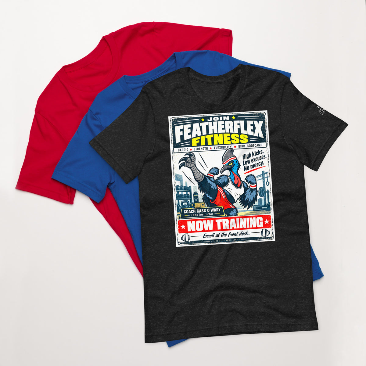 Featherflex Fitness – Birds of Labor unisex staple T-shirt, black heather front view mockup