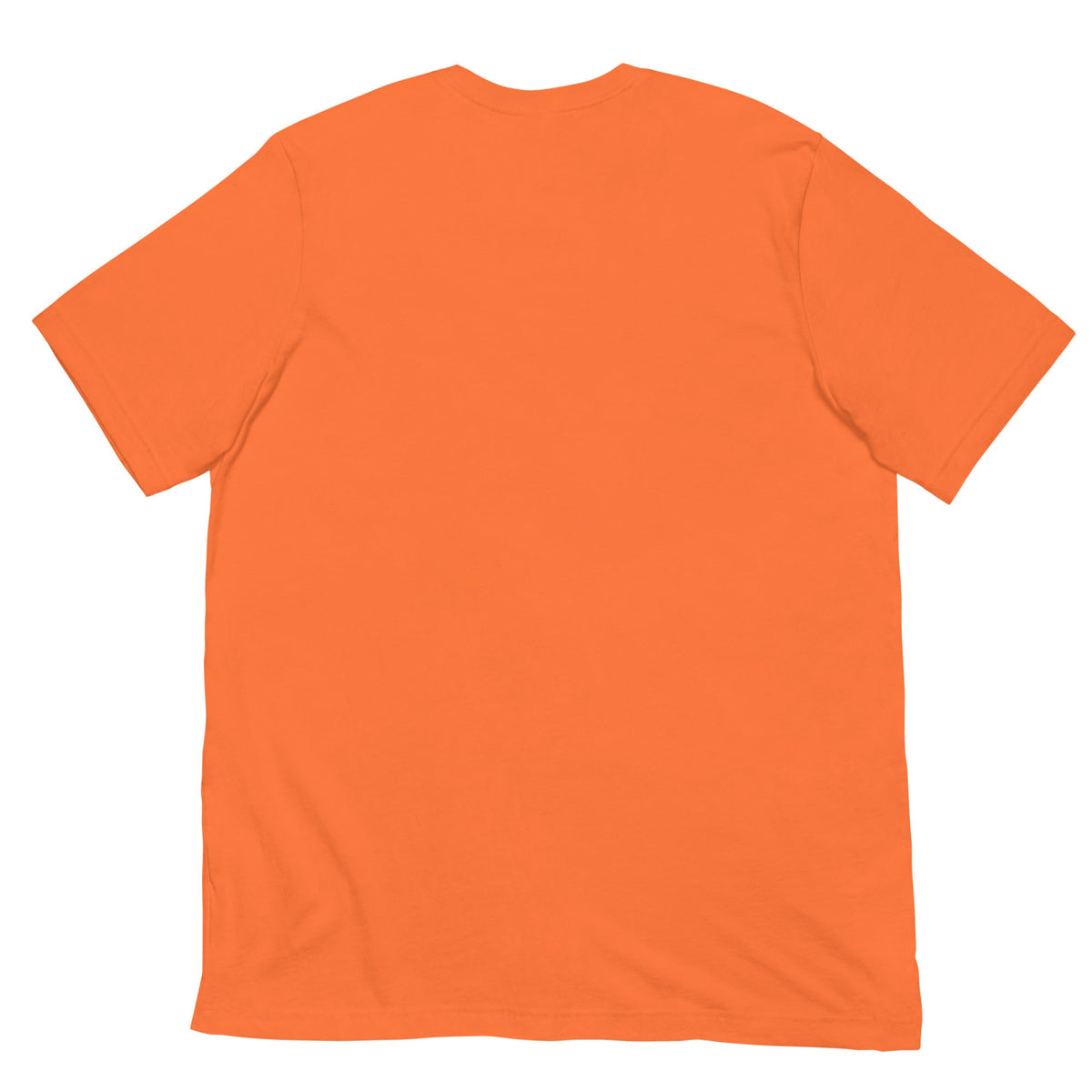 Equinox Harmony: Fire and Ice Guardians - Unisex t-shirt - BBairt