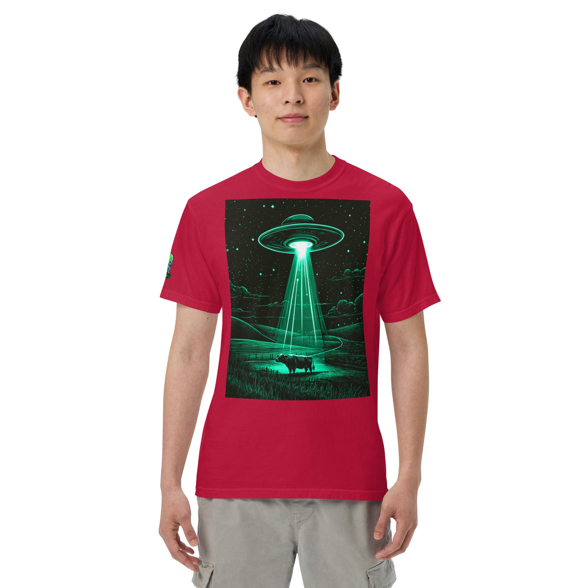 The Abduction Chronicles - Unisex garment - dyed heavyweight t-shirt - BBairt