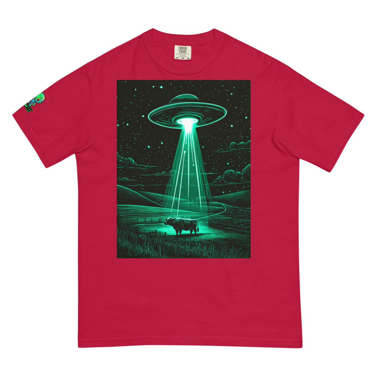 The Abduction Chronicles - Unisex garment - dyed heavyweight t-shirt - BBairt