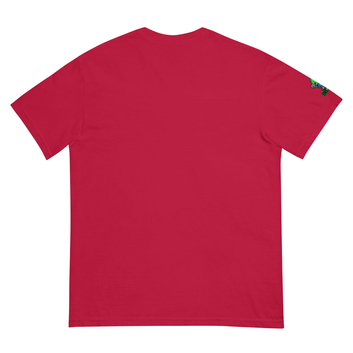 The Abduction Chronicles - Unisex garment - dyed heavyweight t-shirt - BBairt