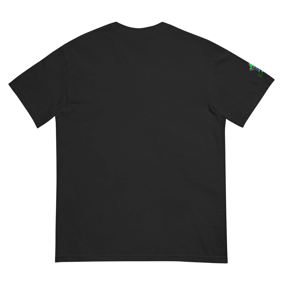 The Abduction Chronicles - Unisex garment - dyed heavyweight t-shirt - BBairt